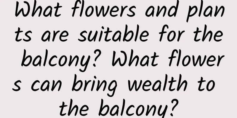 What flowers and plants are suitable for the balcony? What flowers can bring wealth to the balcony?