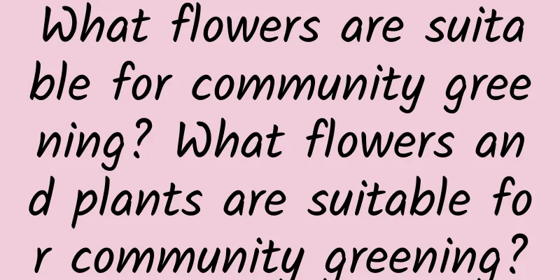 What flowers are suitable for community greening? What flowers and plants are suitable for community greening?
