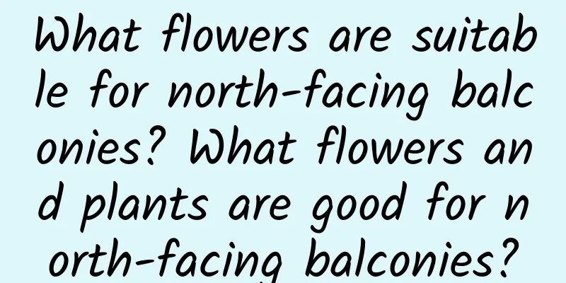 What flowers are suitable for north-facing balconies? What flowers and plants are good for north-facing balconies?