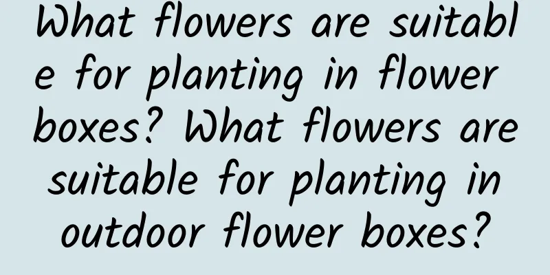 What flowers are suitable for planting in flower boxes? What flowers are suitable for planting in outdoor flower boxes?