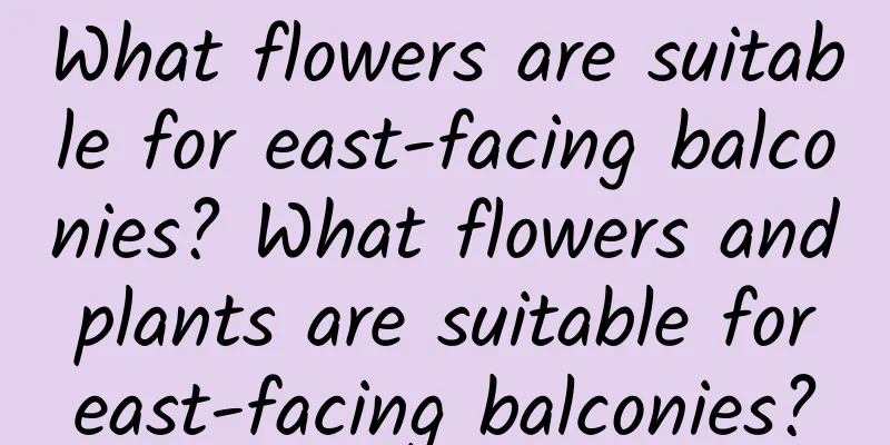 What flowers are suitable for east-facing balconies? What flowers and plants are suitable for east-facing balconies?