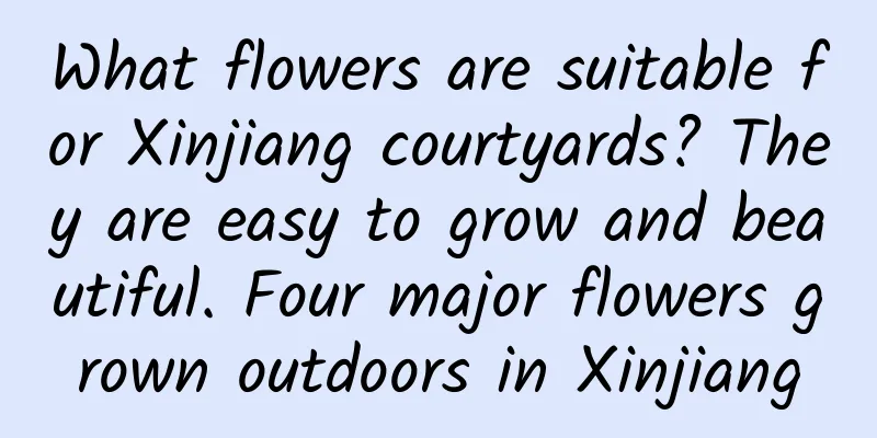 What flowers are suitable for Xinjiang courtyards? They are easy to grow and beautiful. Four major flowers grown outdoors in Xinjiang