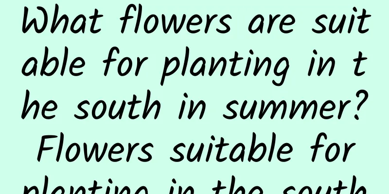 What flowers are suitable for planting in the south in summer? Flowers suitable for planting in the south