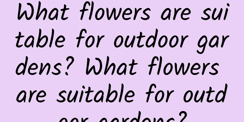What flowers are suitable for outdoor gardens? What flowers are suitable for outdoor gardens?