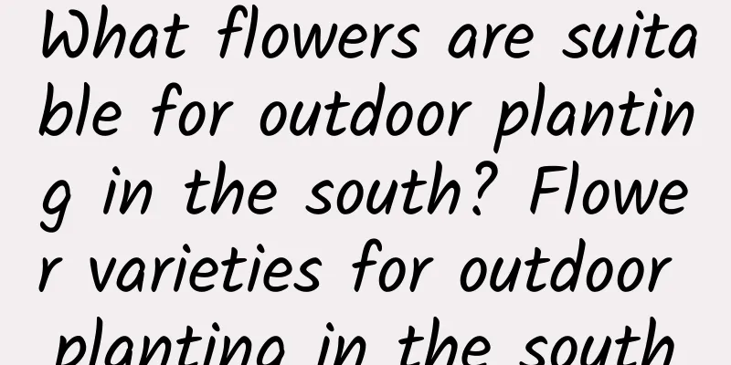 What flowers are suitable for outdoor planting in the south? Flower varieties for outdoor planting in the south