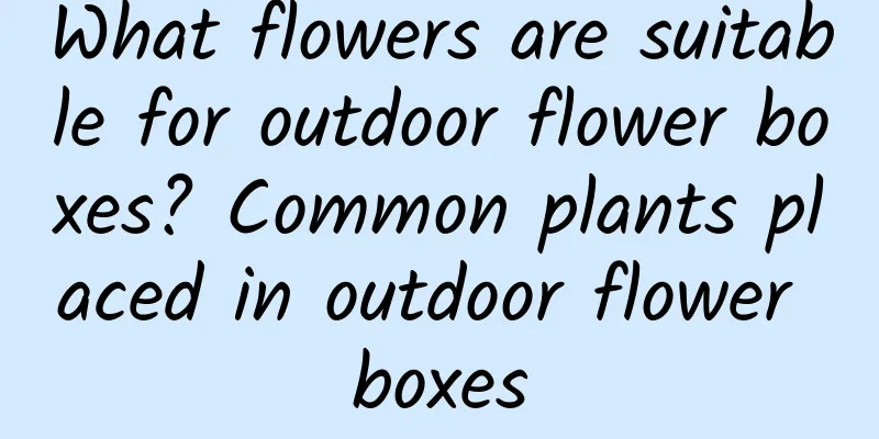 What flowers are suitable for outdoor flower boxes? Common plants placed in outdoor flower boxes