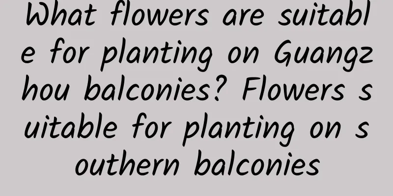 What flowers are suitable for planting on Guangzhou balconies? Flowers suitable for planting on southern balconies