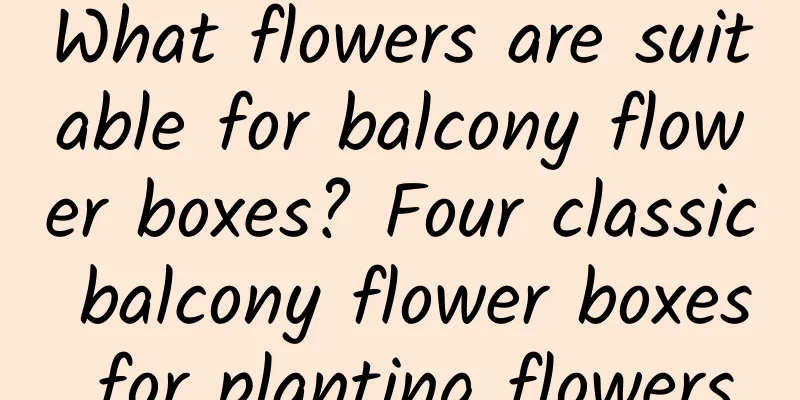 What flowers are suitable for balcony flower boxes? Four classic balcony flower boxes for planting flowers