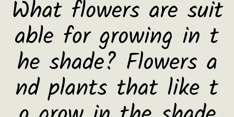 What flowers are suitable for growing in the shade? Flowers and plants that like to grow in the shade