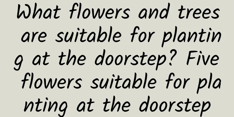What flowers and trees are suitable for planting at the doorstep? Five flowers suitable for planting at the doorstep