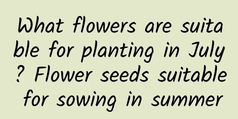 What flowers are suitable for planting in July? Flower seeds suitable for sowing in summer