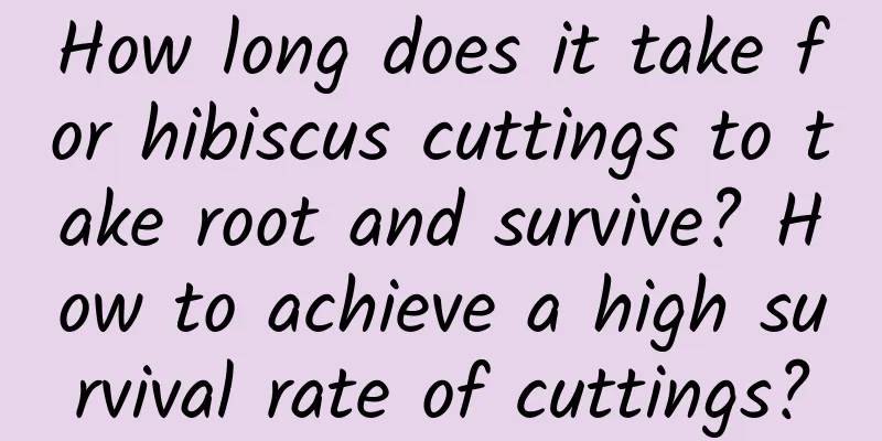 How long does it take for hibiscus cuttings to take root and survive? How to achieve a high survival rate of cuttings?