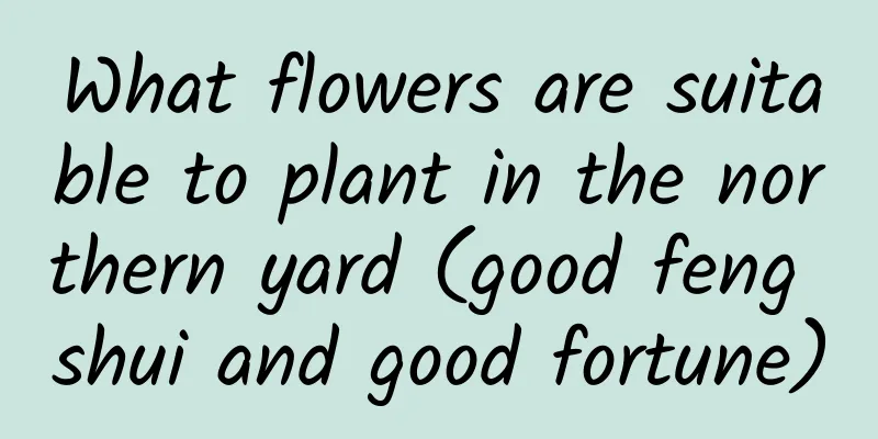 What flowers are suitable to plant in the northern yard (good feng shui and good fortune)