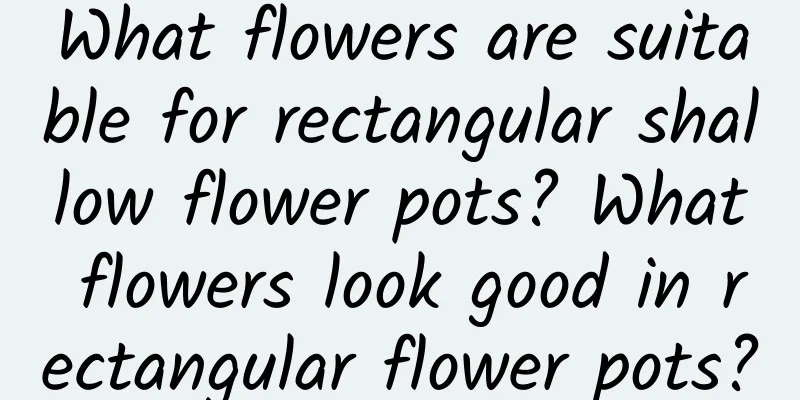 What flowers are suitable for rectangular shallow flower pots? What flowers look good in rectangular flower pots?