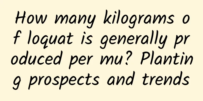 How many kilograms of loquat is generally produced per mu? Planting prospects and trends