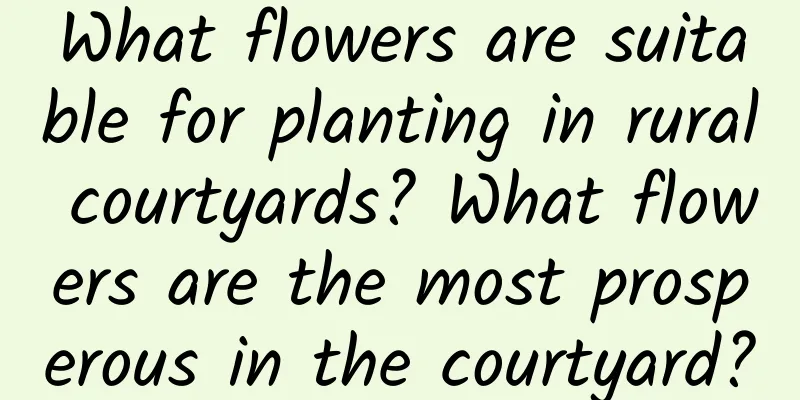 What flowers are suitable for planting in rural courtyards? What flowers are the most prosperous in the courtyard?