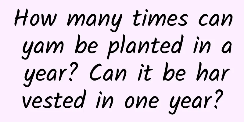 How many times can yam be planted in a year? Can it be harvested in one year?