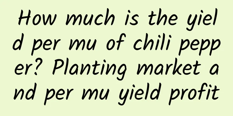 How much is the yield per mu of chili pepper? Planting market and per mu yield profit