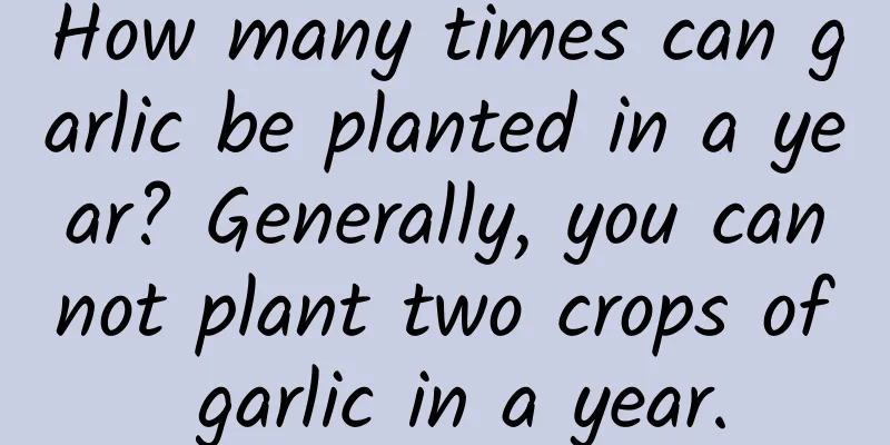 How many times can garlic be planted in a year? Generally, you cannot plant two crops of garlic in a year.