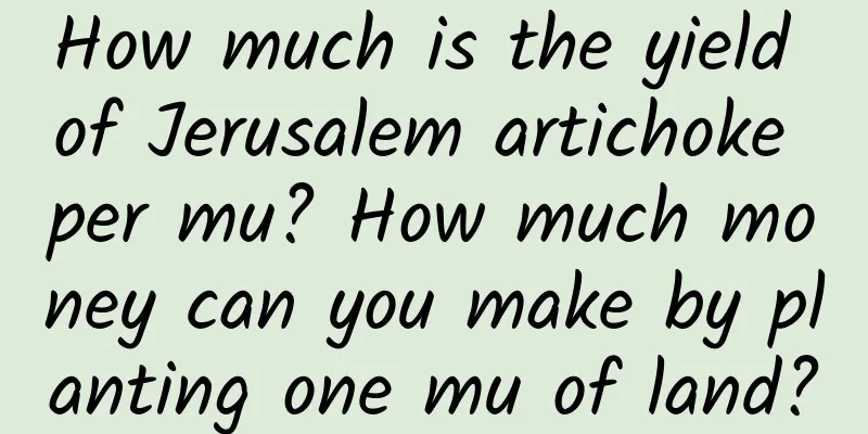 How much is the yield of Jerusalem artichoke per mu? How much money can you make by planting one mu of land?