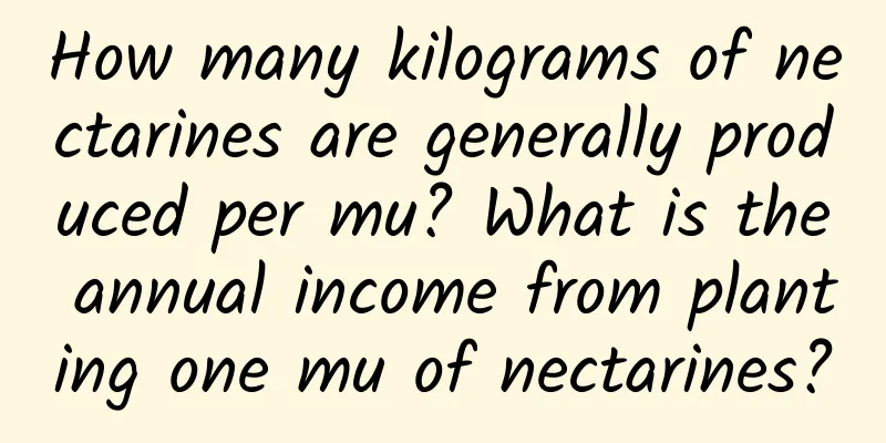 How many kilograms of nectarines are generally produced per mu? What is the annual income from planting one mu of nectarines?