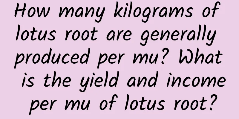 How many kilograms of lotus root are generally produced per mu? What is the yield and income per mu of lotus root?