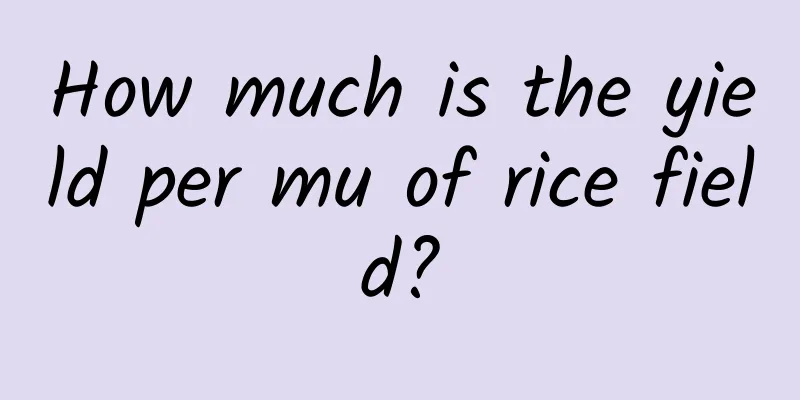 How much is the yield per mu of rice field?