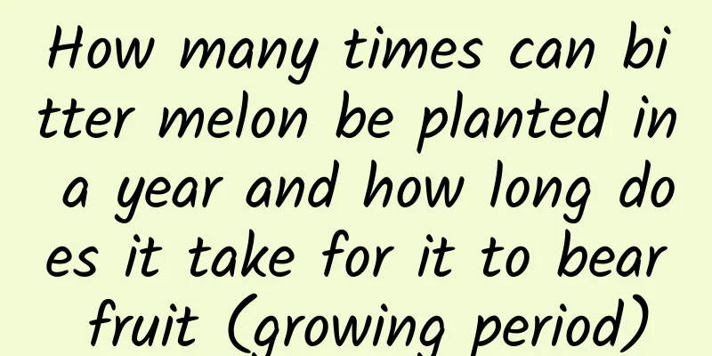 How many times can bitter melon be planted in a year and how long does it take for it to bear fruit (growing period)