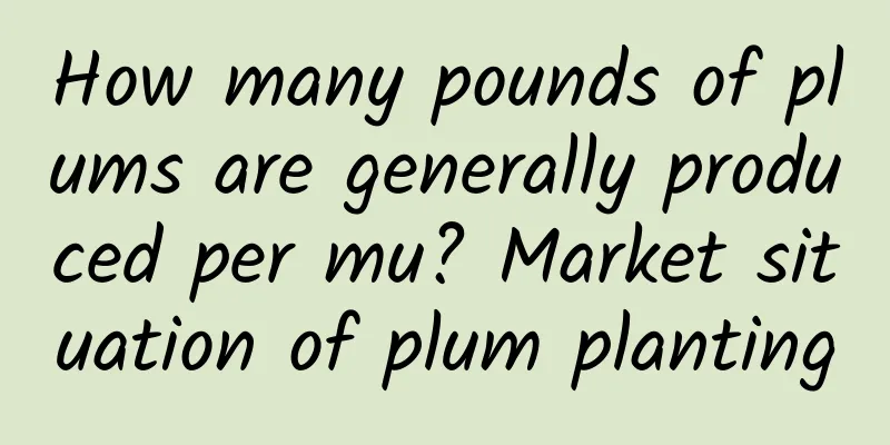 How many pounds of plums are generally produced per mu? Market situation of plum planting