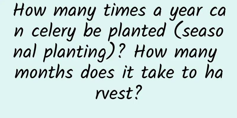 How many times a year can celery be planted (seasonal planting)? How many months does it take to harvest?