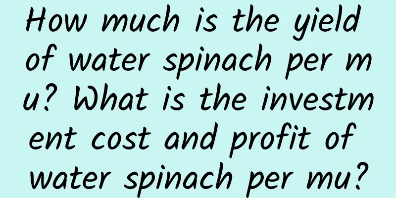 How much is the yield of water spinach per mu? What is the investment cost and profit of water spinach per mu?