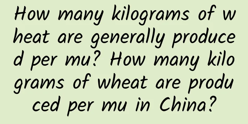 How many kilograms of wheat are generally produced per mu? How many kilograms of wheat are produced per mu in China?
