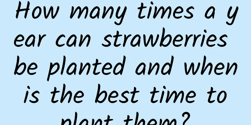 How many times a year can strawberries be planted and when is the best time to plant them?