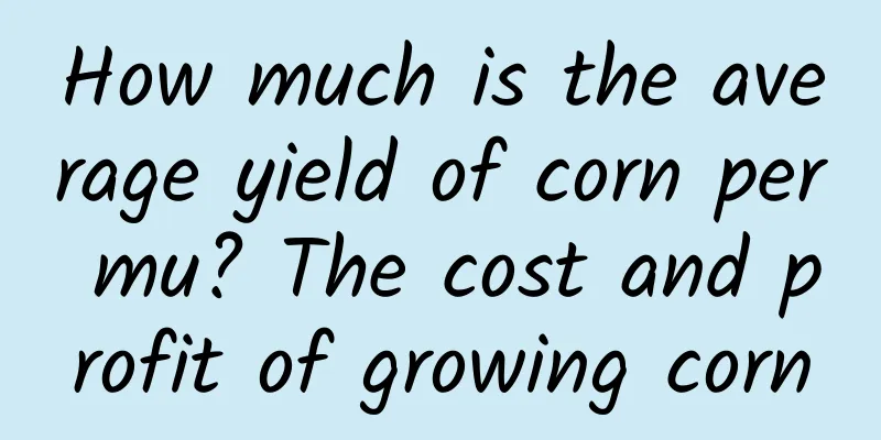 How much is the average yield of corn per mu? The cost and profit of growing corn