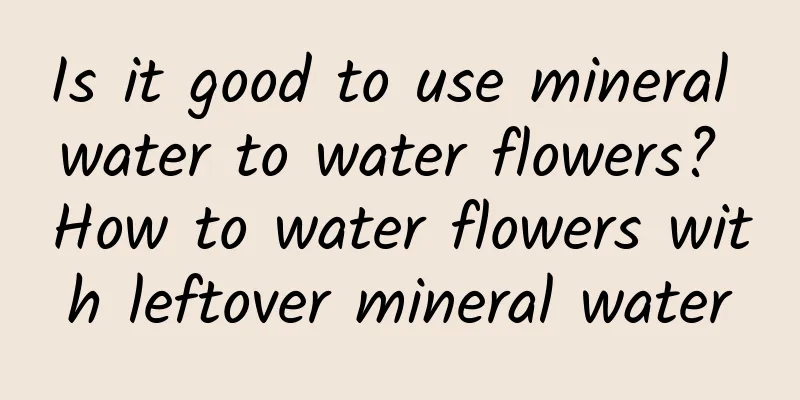 Is it good to use mineral water to water flowers? How to water flowers with leftover mineral water