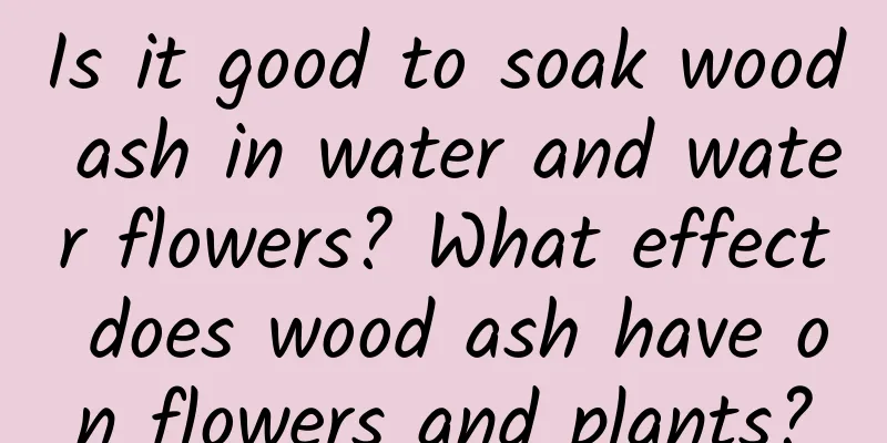 Is it good to soak wood ash in water and water flowers? What effect does wood ash have on flowers and plants?