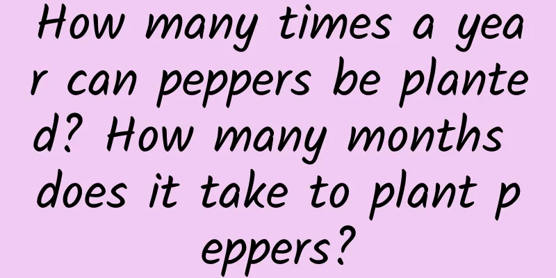 How many times a year can peppers be planted? How many months does it take to plant peppers?