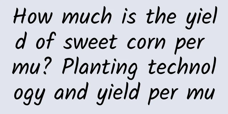 How much is the yield of sweet corn per mu? Planting technology and yield per mu
