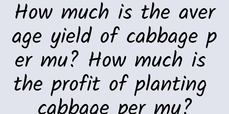 How much is the average yield of cabbage per mu? How much is the profit of planting cabbage per mu?