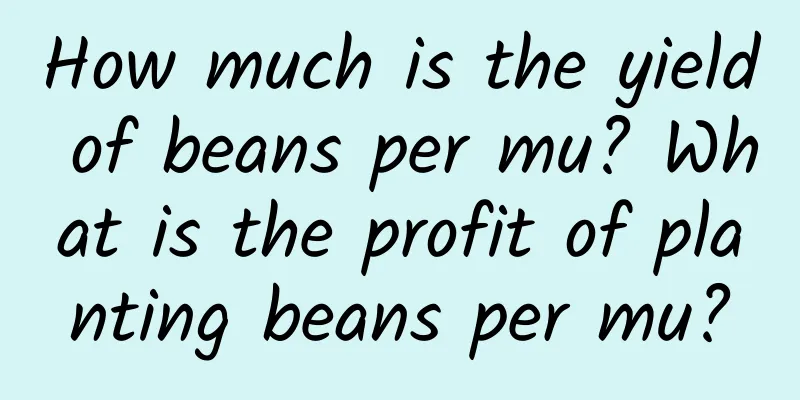 How much is the yield of beans per mu? What is the profit of planting beans per mu?