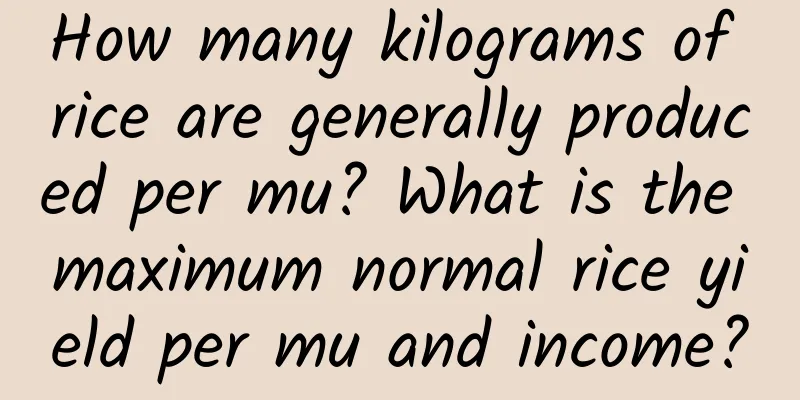 How many kilograms of rice are generally produced per mu? What is the maximum normal rice yield per mu and income?