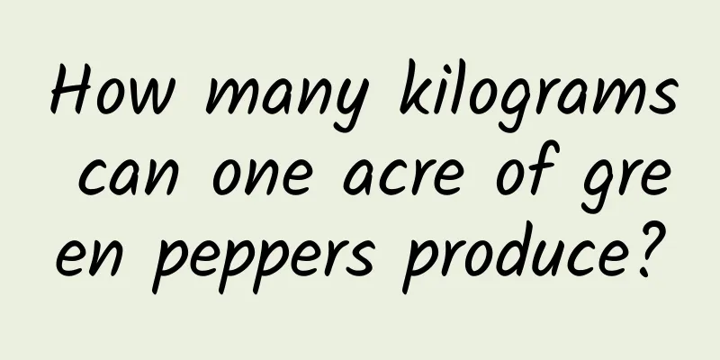 How many kilograms can one acre of green peppers produce?