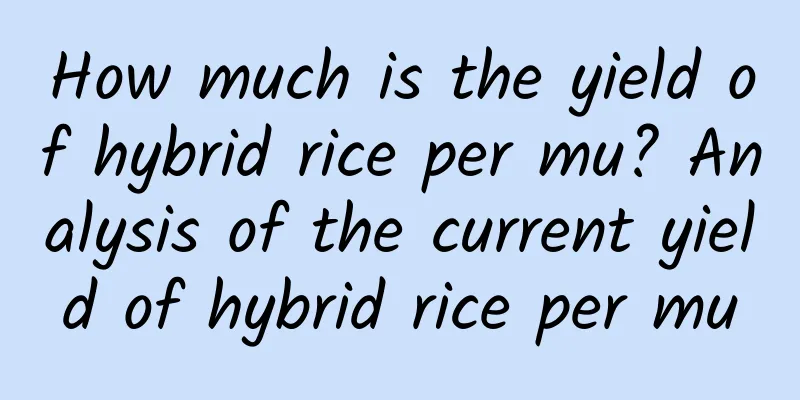 How much is the yield of hybrid rice per mu? Analysis of the current yield of hybrid rice per mu