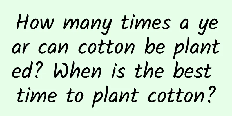 How many times a year can cotton be planted? When is the best time to plant cotton?