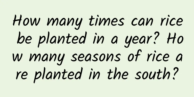 How many times can rice be planted in a year? How many seasons of rice are planted in the south?