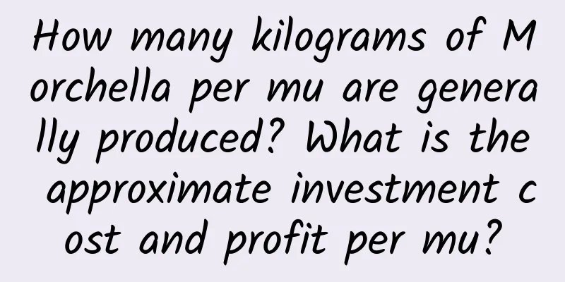 How many kilograms of Morchella per mu are generally produced? What is the approximate investment cost and profit per mu?