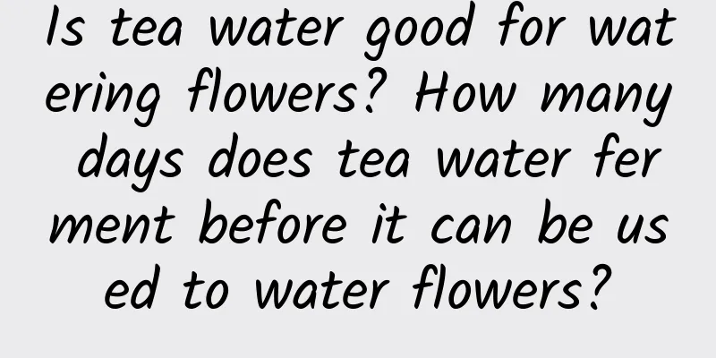 Is tea water good for watering flowers? How many days does tea water ferment before it can be used to water flowers?