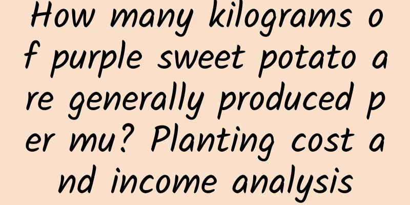 How many kilograms of purple sweet potato are generally produced per mu? Planting cost and income analysis