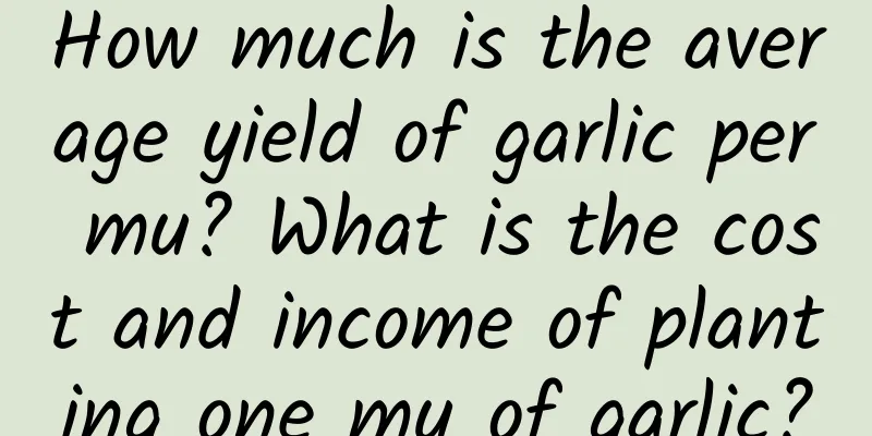 How much is the average yield of garlic per mu? What is the cost and income of planting one mu of garlic?