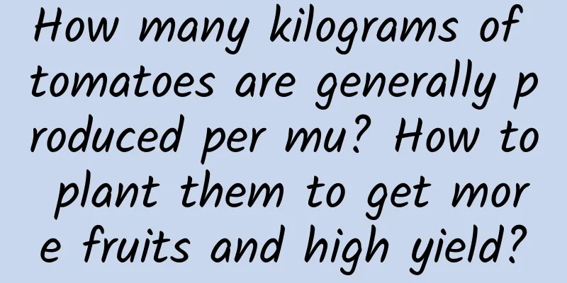 How many kilograms of tomatoes are generally produced per mu? How to plant them to get more fruits and high yield?